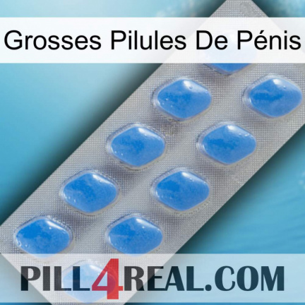 Grosses Pilules De Pénis 22